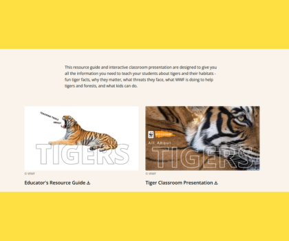 A Tiger's Tale: A Biodiversity Trivia Game