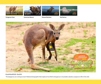 Awesome Animals