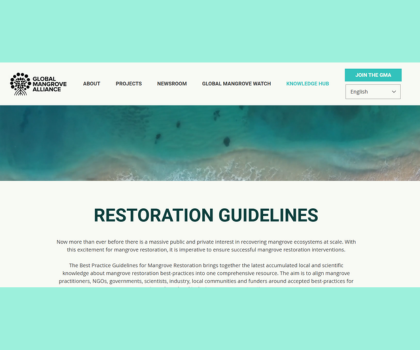 Best Practice Guidelines for Mangrove Restoration