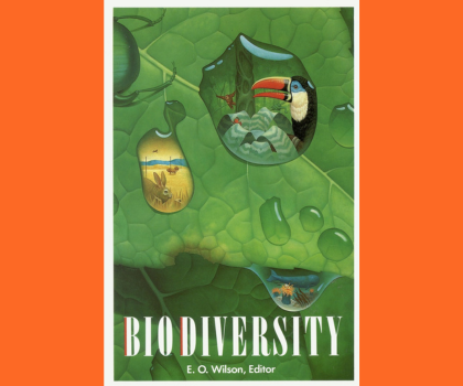 Biodiversity