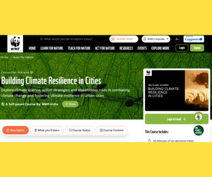 Building Climate Resilience in Cities