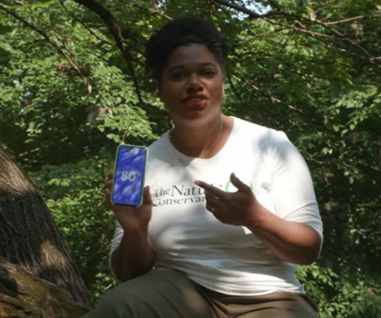 Climate Heroes: The Power of Trees