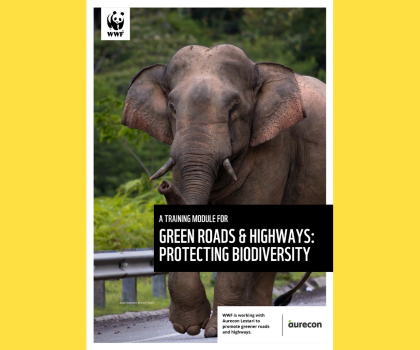 Green Roads and Highways: Protecting Biodiversity
