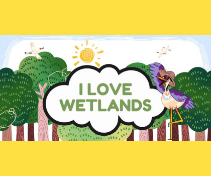 I Love Wetlands