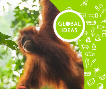 Learning pack #2: Protecting our forests