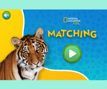 Matching: Animals