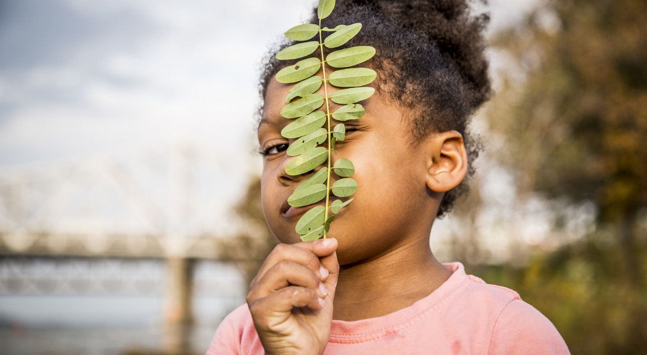 Nature Lab: Elementary Lesson Plans (Grades K-5)