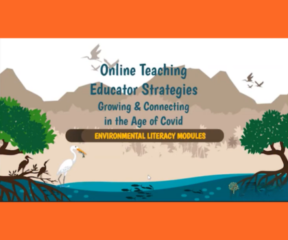 Online Learning / Educator Strategies: Growing and Connecting in the Age of Covid