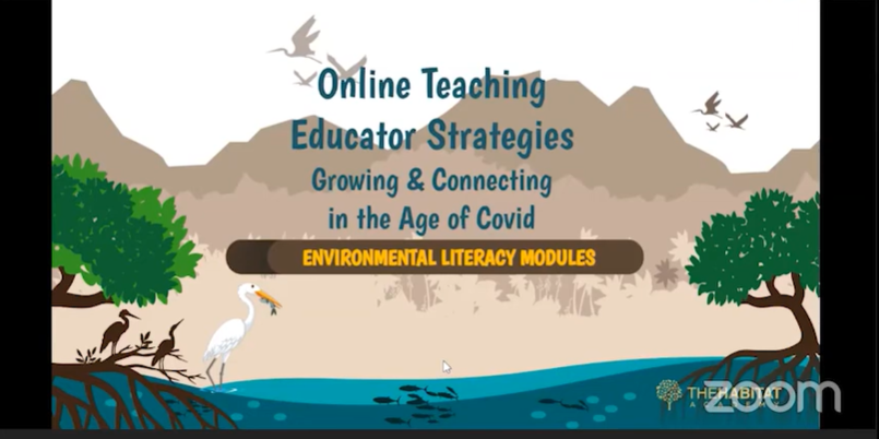 Online Learning / Educator Strategies: Growing and Connecting in the Age of Covid