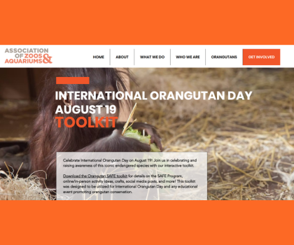 Orangutan Day Toolkit