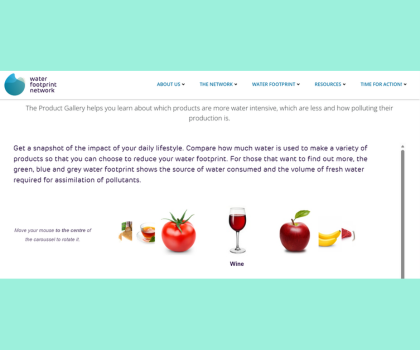 Product Gallery