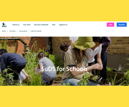SuDS (Sustainable Drainage Systems) for Schools