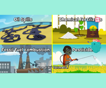 What is water pollution? What Causes Water Pollution?