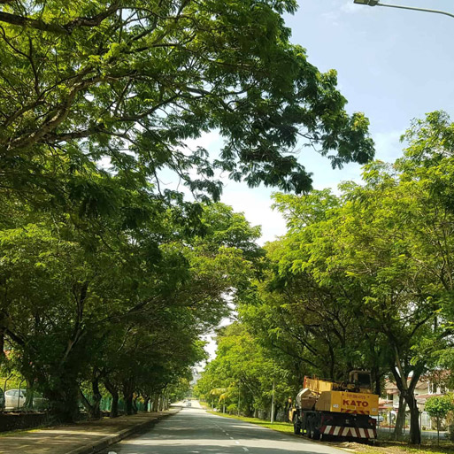 I see green