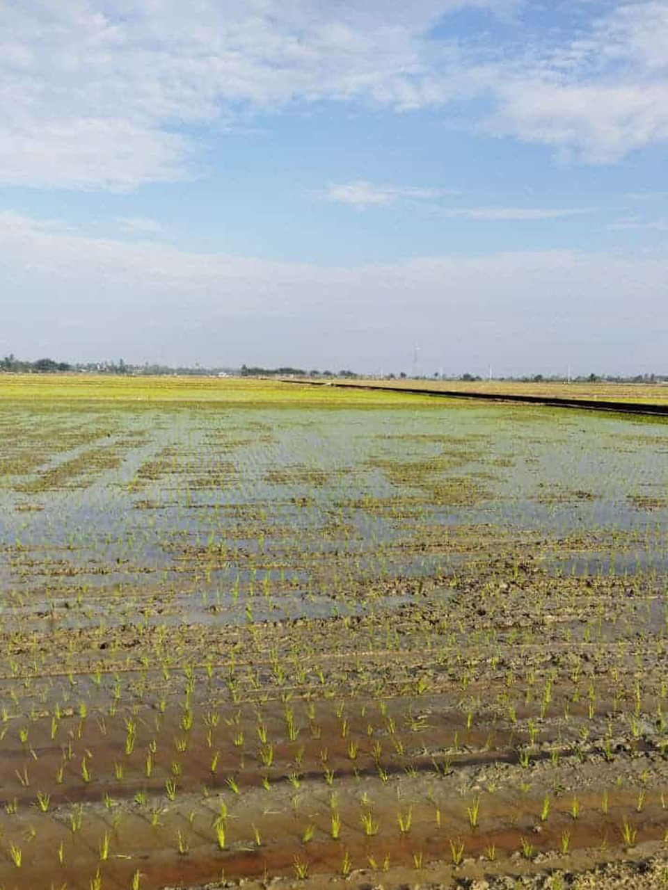 Sabak Bernam, khazanah alam