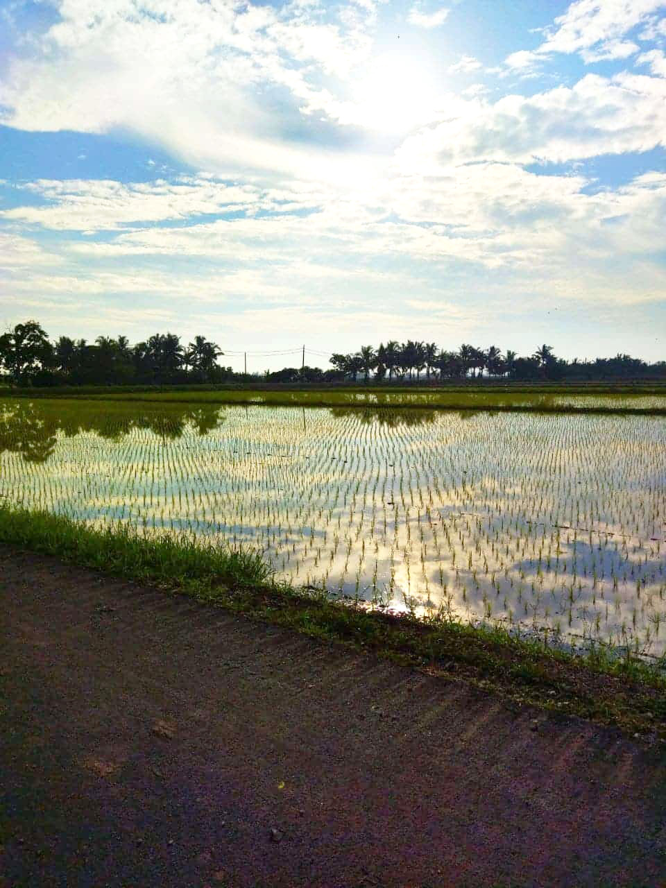 Sabak Bernam, khazanah alam