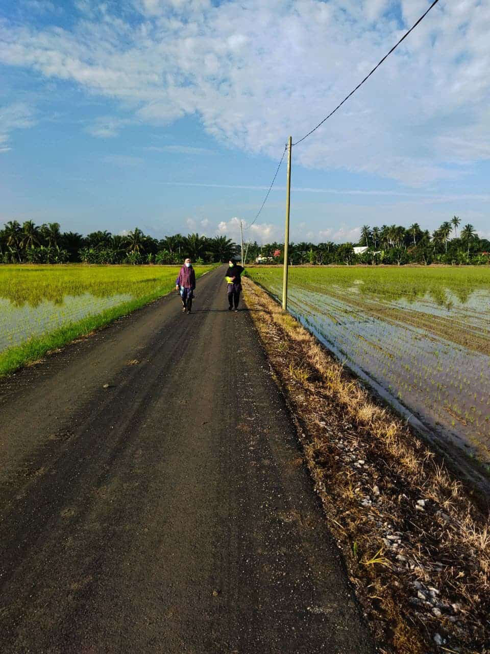 Sabak Bernam, khazanah alam