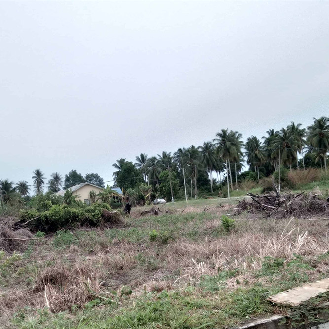Meluntur buluh