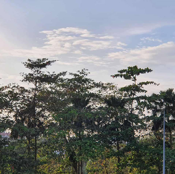 Conserving the natural landscape