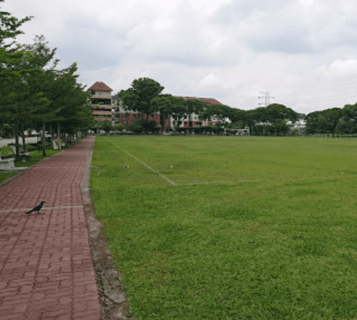 Clean and green