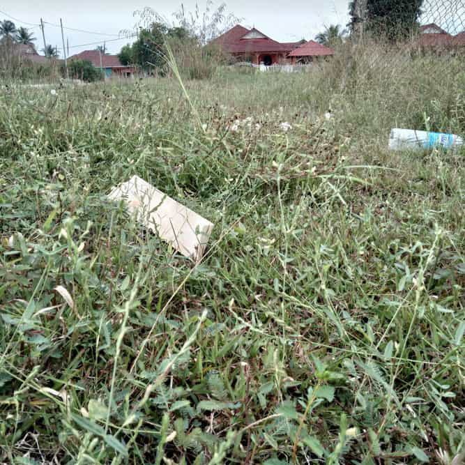 Meluntur buluh