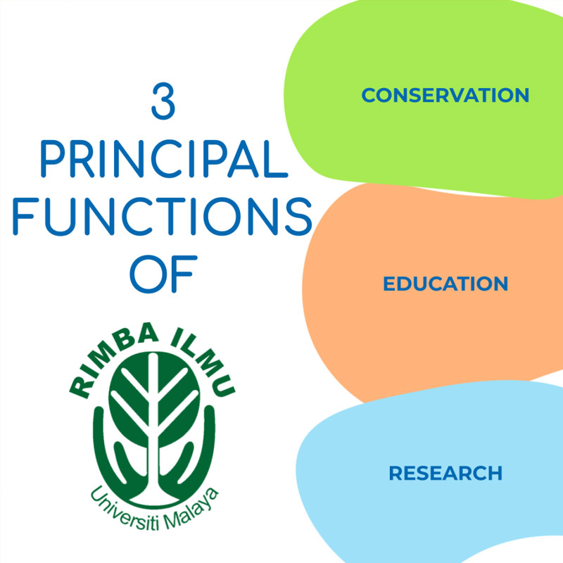 About Rimba Ilmu – Qi Jia