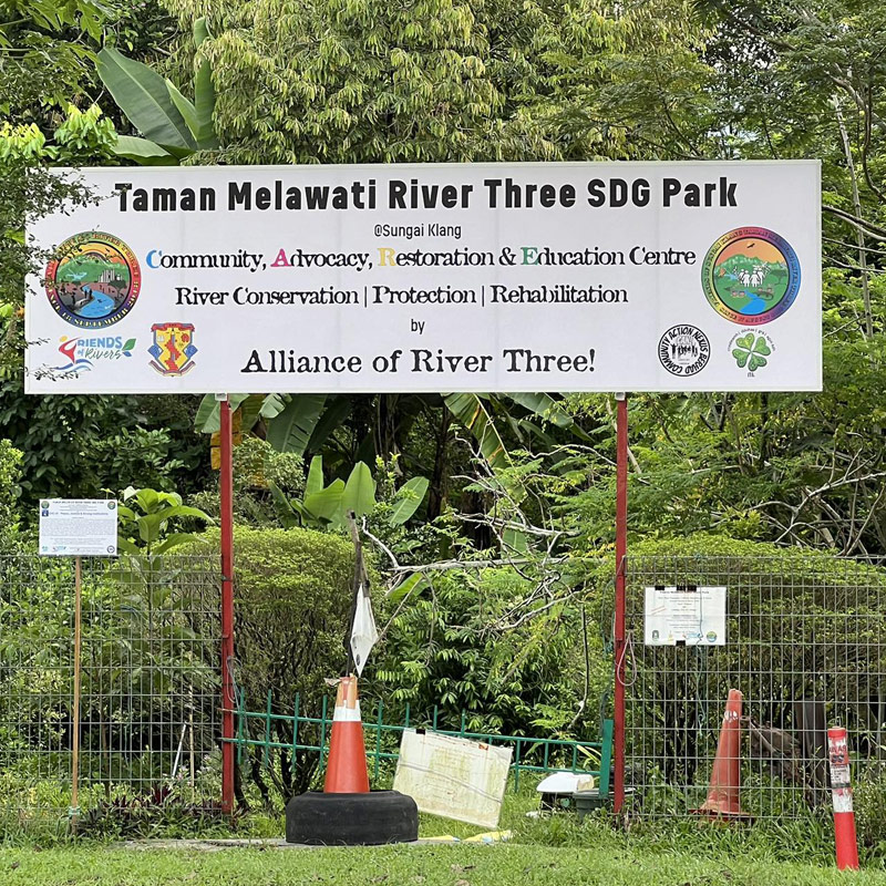 Bamboo for River Conservation & Restoration – Thea Babani