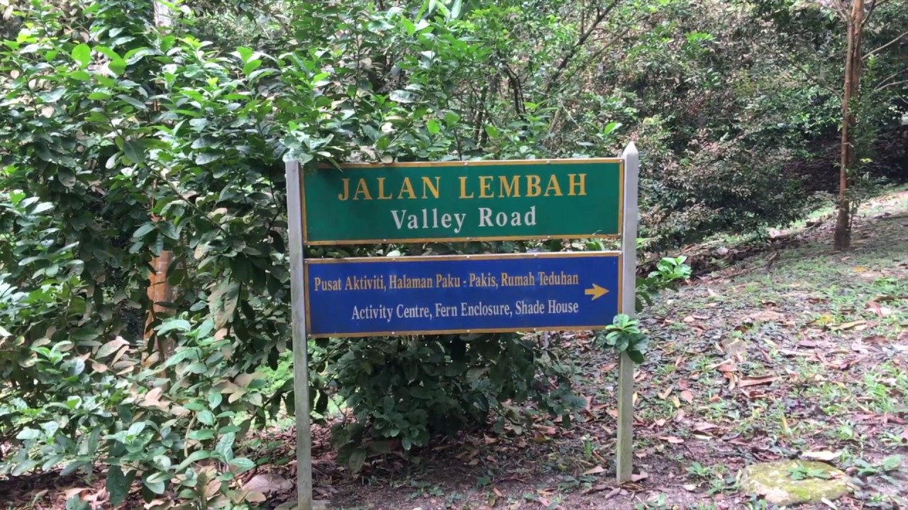 Internship at Rimba Ilmu - Amira Aqilah binti Muhammad