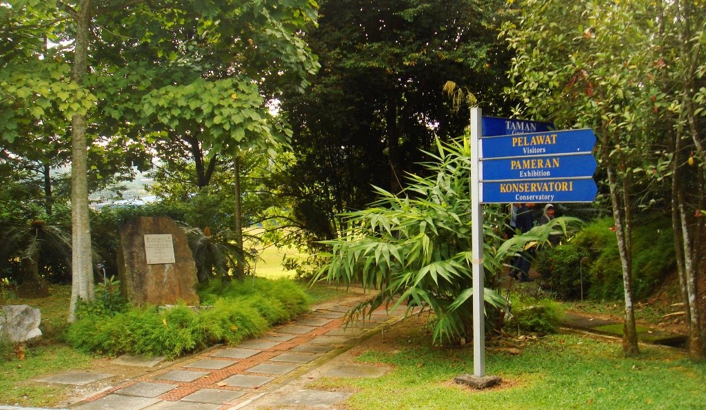 Life Among the Leaves - Amira Aqilah binti Muhammad