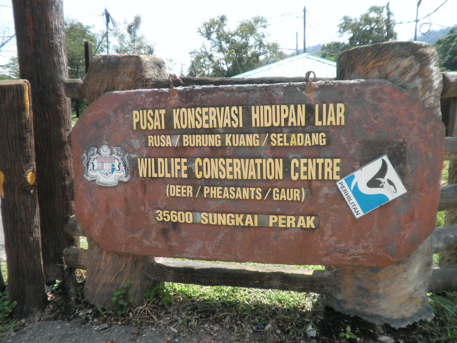 Six Months at NWRC: A Journey into Wildlife Conservation