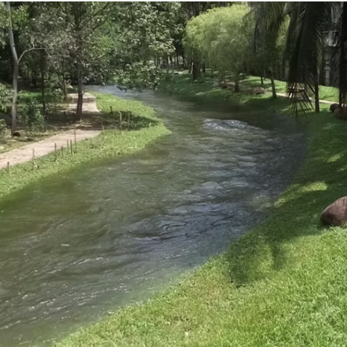 GREduAction at Taman Melawati and Mid Valley River Three SDG Parks (TMR3 & MVR3 SDGP) - Mawaddah binti Badrul Azmi